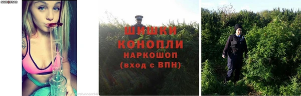 МДМА Кинешма