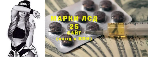 ПСИЛОЦИБИНОВЫЕ ГРИБЫ Касимов
