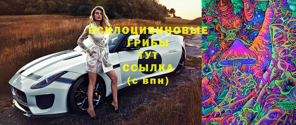 дживик Карпинск