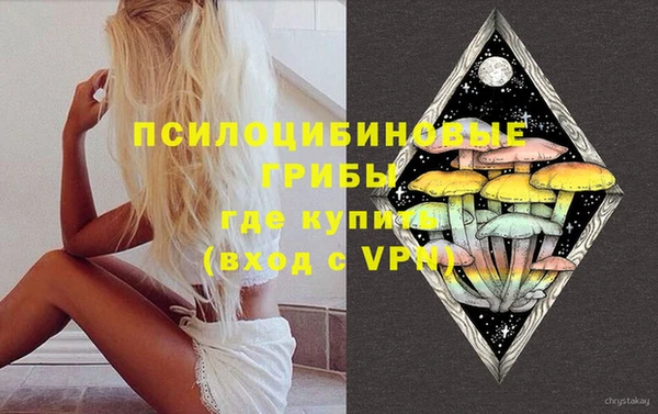 ПСИЛОЦИБИНОВЫЕ ГРИБЫ Касимов