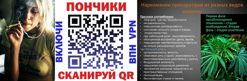 Купить закладки  Можга  Бошки Шишки планчик 